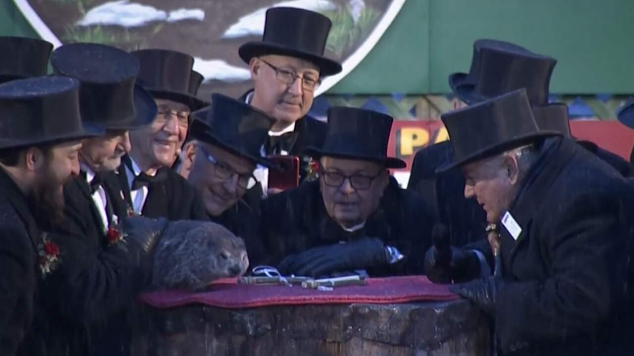 Bosmarmot voorspelt vroege lente op Groundhog Day