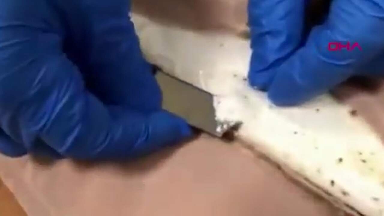Nederlandse in Turkije veroordeeld tot 26 jaar cel voor cocaïnesmokkel