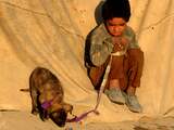 Dinsdag 2 juni: Een Afghaans jongetje geeft zijn hond te eten, in een vluchtelingenkamp in Kandahar. De VN luidde dinsdag de noodklok over de nog steeds toenemende armoede in het land.