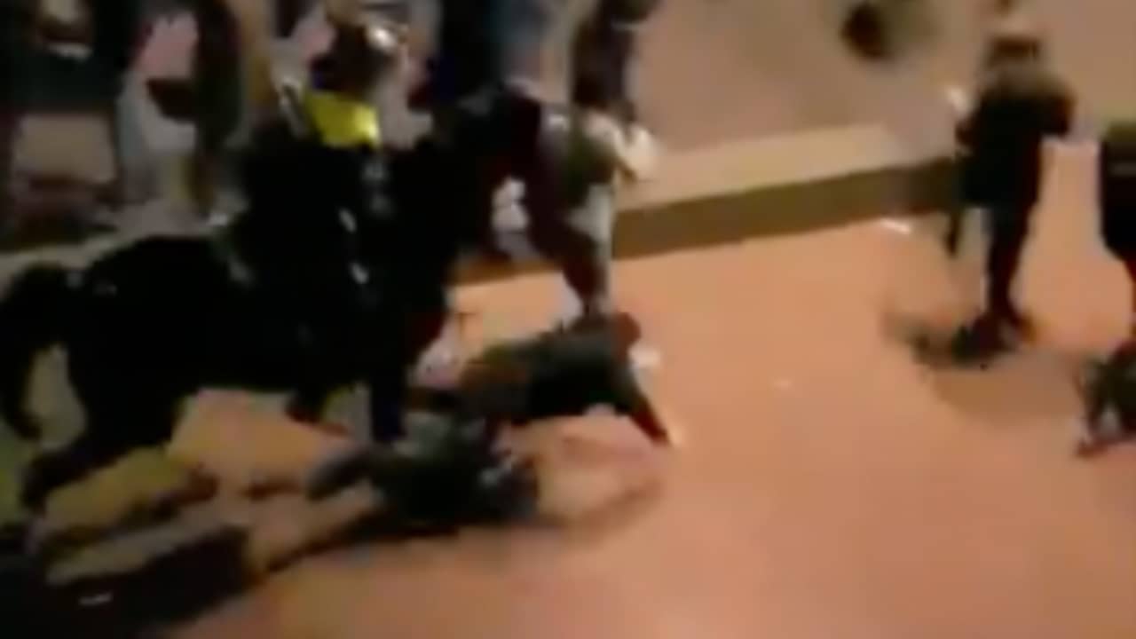 Beeld uit video: Politiepaard beukt man omver bij rellen na FC Twente-PSV