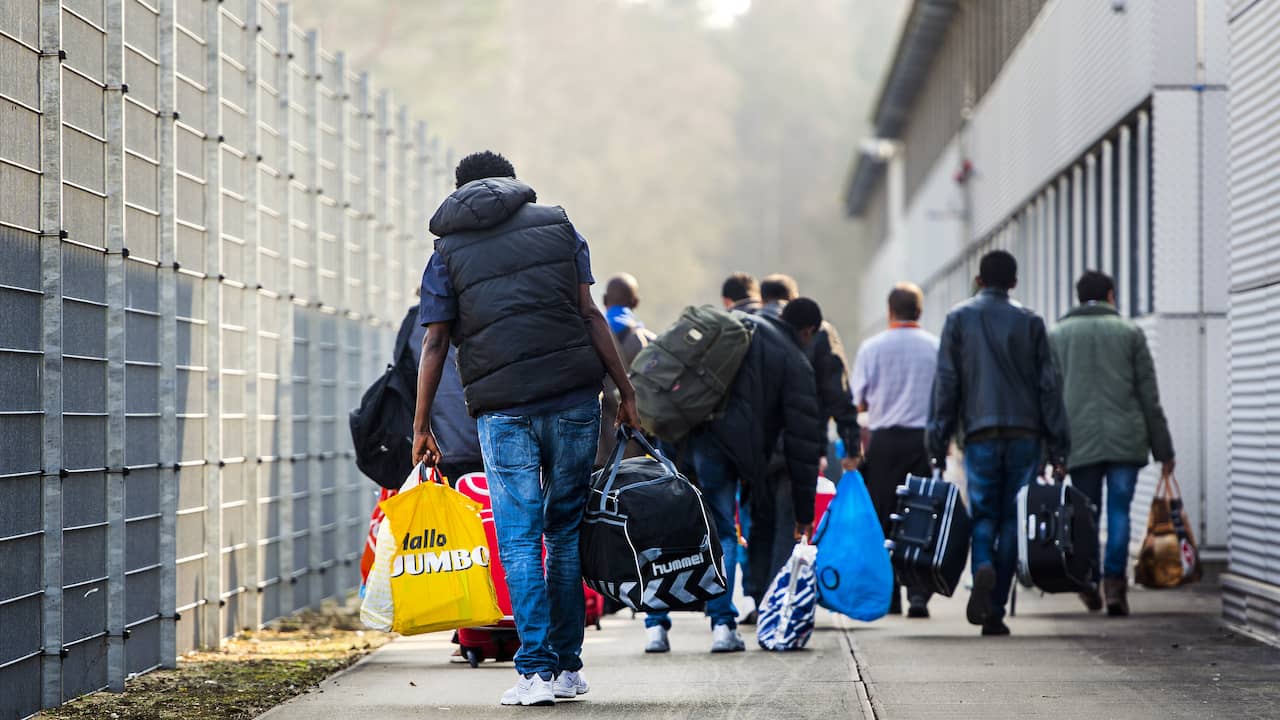 Nederlandse Bevolking Groeide In 2022 Flink Door Immigratie ...