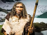 Onderzoek bevestigt dat neanderthalers kunst konden maken