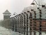 75 jaar bevrijding Auschwitz: antwoorden op jullie vragen over het kamp