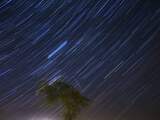 Afgelopen nacht vallende sterren gefotografeerd boven Wergea 