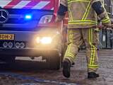 Bewoner komt om het leven bij brand in woning in Zuidwijk