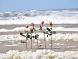 Ter nagedachtenis aan de vijf surfers die zijn omgekomen in Scheveningen, zijn op en bij het strand bloemen geplaatst.