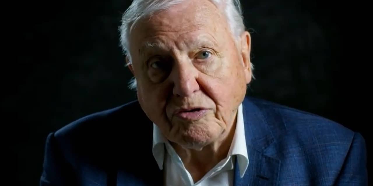 Oud-recordhouder David Attenborough stopt na twee maanden met Instagram