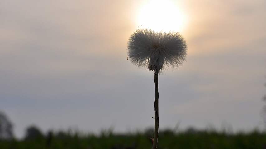 Weerbericht: Geregeld zon, zomers warm en droog