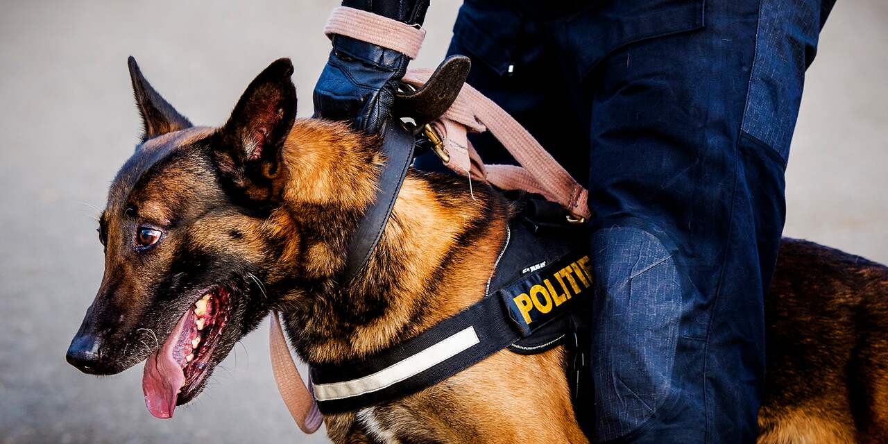 Politie speurt met honden en metaaldetector in een berm in Zwolle