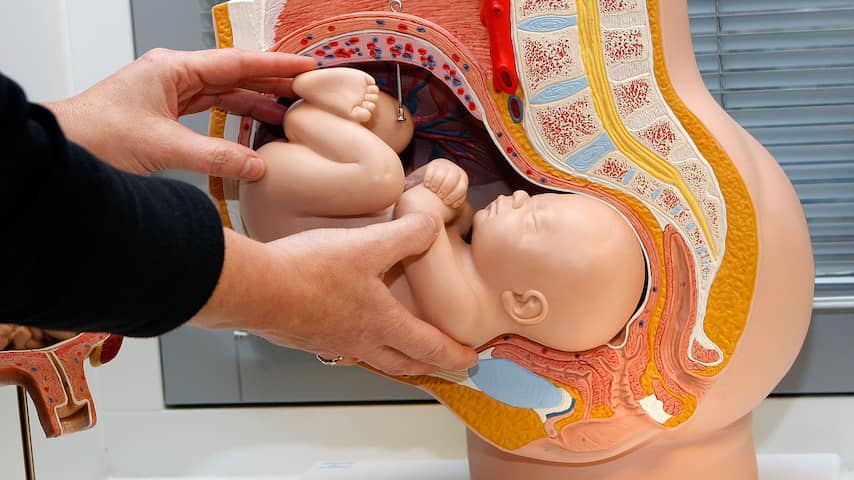 UMCG doet onderzoek naar gebruik echo tijdens bevalling