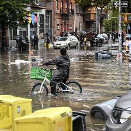 Overstromingen New York: ondergelopen metrostations en ontsnapte zeeleeuw