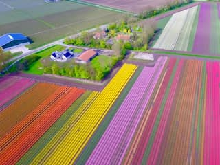 'Export Nederlandse bloemen en planten komt uit op recordniveau'