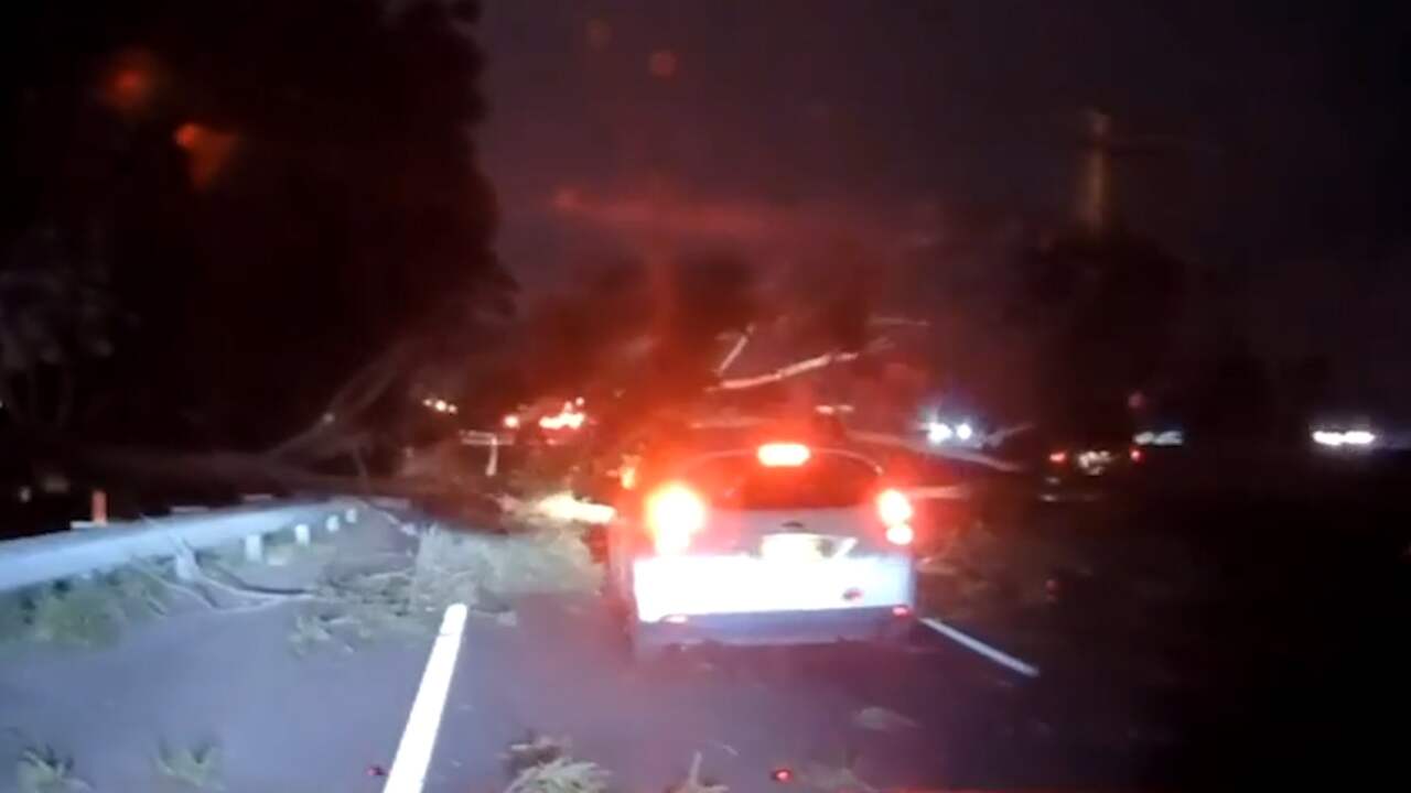 Boom raakt automobilisten op haar na in Australië
