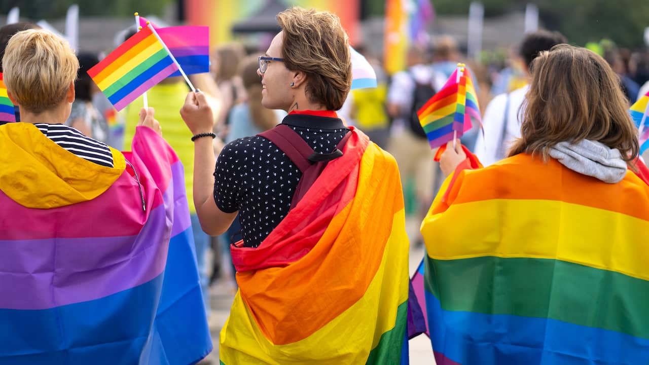 Prohibition of discrimination of the LGBTIQ+ community and people with disabilities will be introduced in the Constitution |  Politics