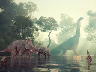 Enorme stofwolk veroorzaakte uitsterven dinosauriërs nadat planetoïde insloeg