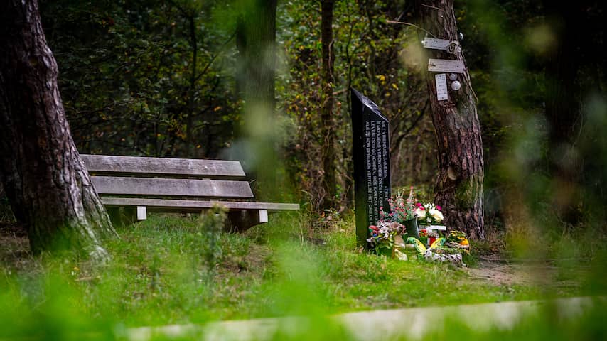 Complotdenkers Bestoken Monumenten Vaatstra En Verstappen | Binnenland ...