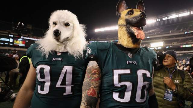 De hondenmaskers van de Eagles