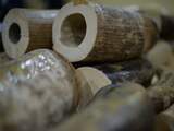 Vietnam moet zich voor ivoorhandel verantwoorden in Den Haag