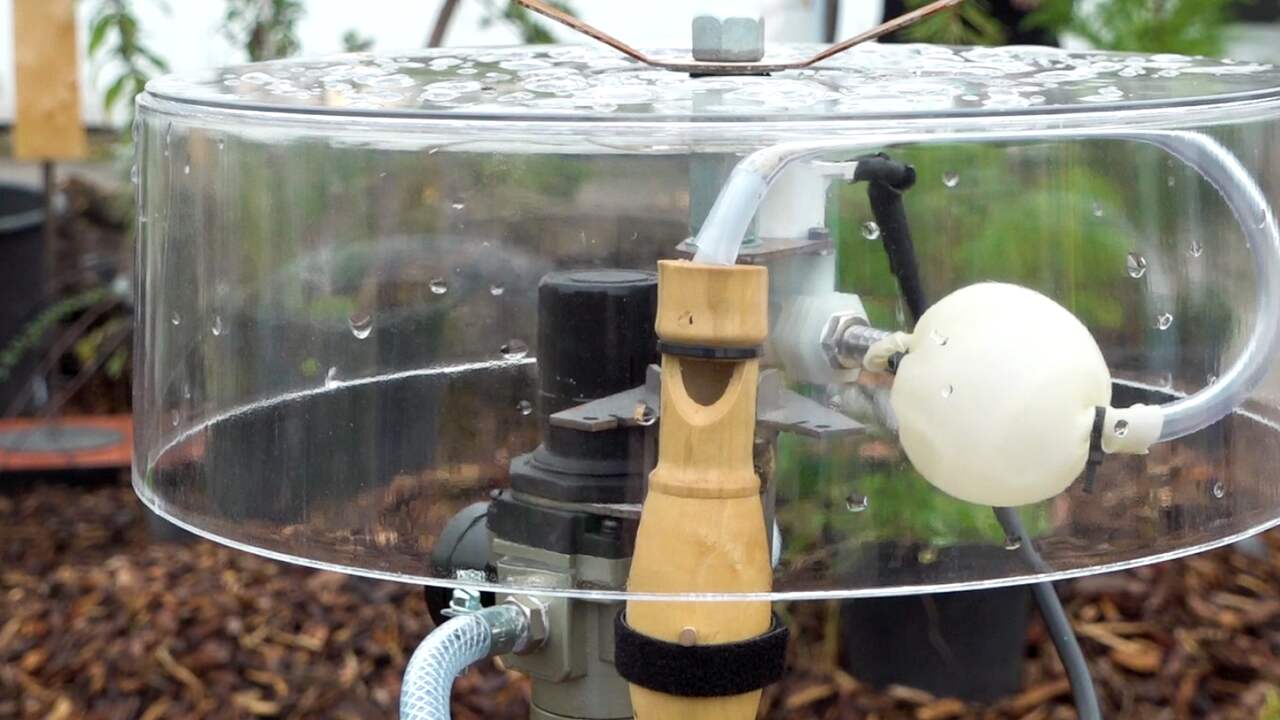 Apparaat zet gegevens identiteitskaart om in uniek vogelconcert