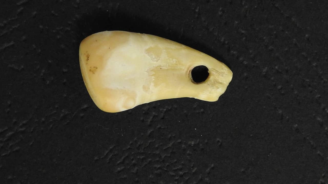 L’ADN d’une femme de l’âge de pierre retrouvé sur un bijou vieux de 20 000 ans |  Science