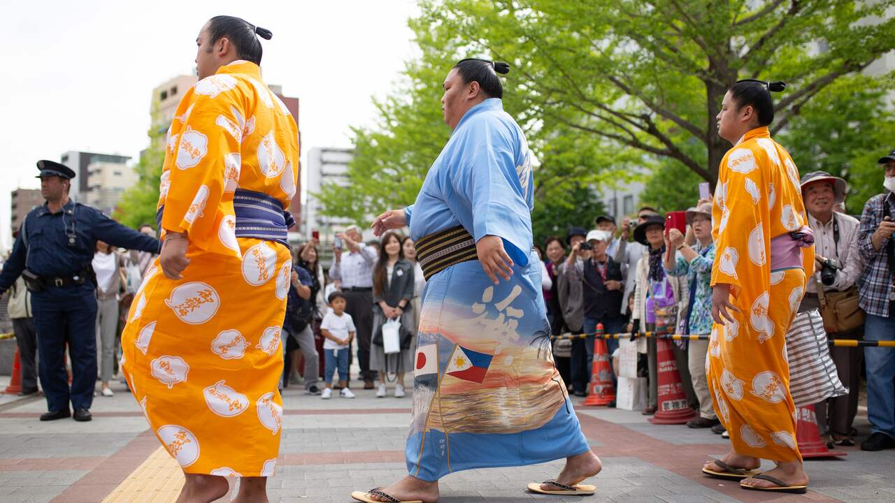 Japanese sumo wrestlers were transferred to different planes due to excess weight |  distinct