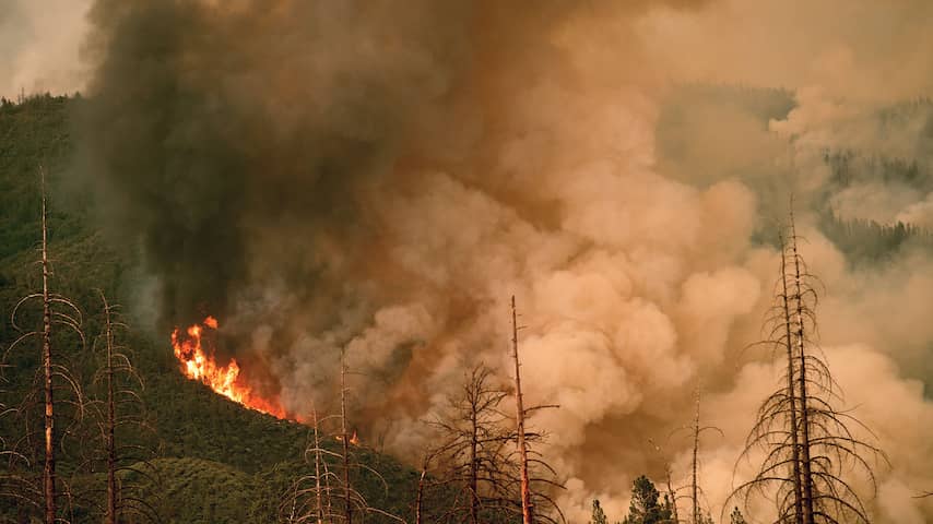 Grootste bosbrand van Californië veroorzaakt door vonk van hamer