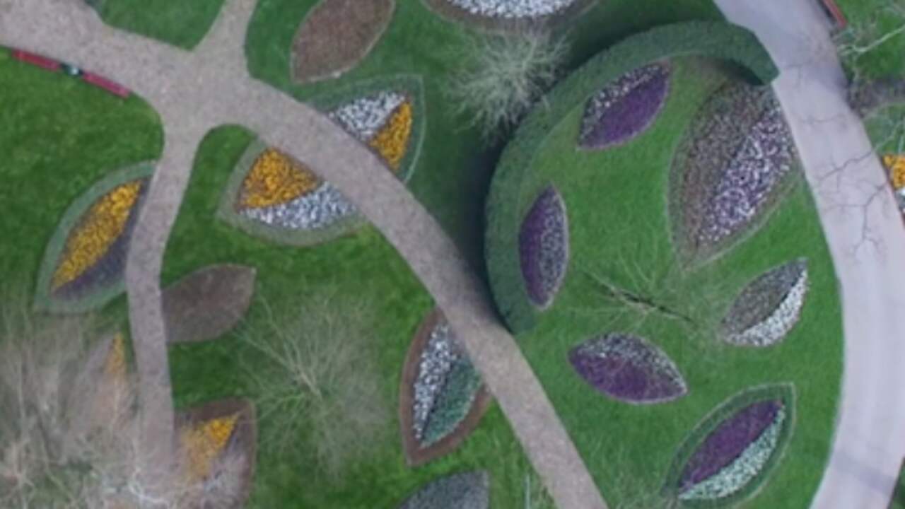 Bekijk de Keukenhof in bloei vanuit de lucht