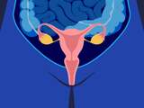 Een op de tien vrouwen heeft endometriose: wat is dat?
