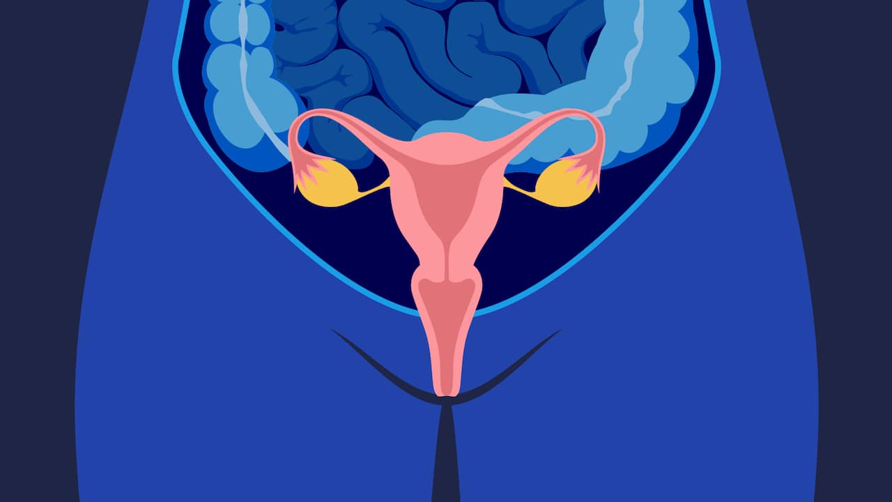 Een Op De Tien Vrouwen Heeft Endometriose: Wat Is Dat? | NU.nl