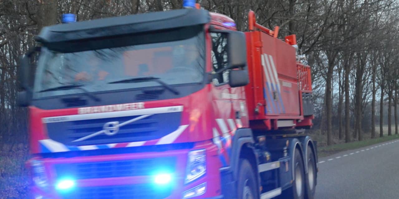 Vrachtwagen met kippen in brand op A59