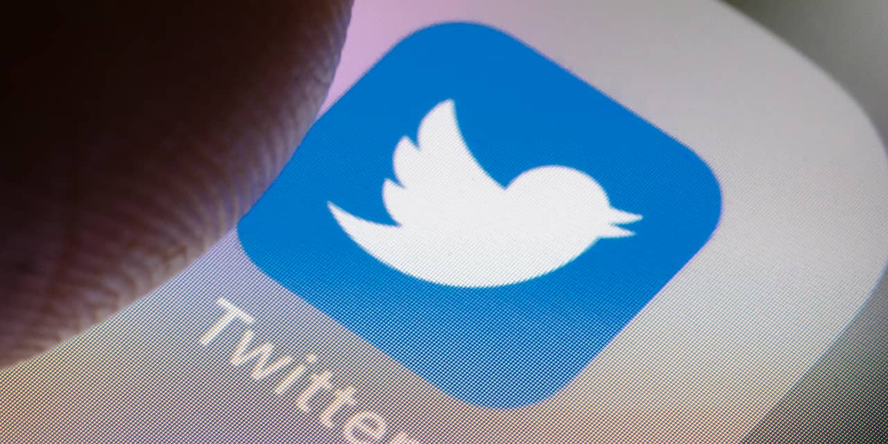 Twitter vraagt gebruikers om mening bij veranderingen in beleid