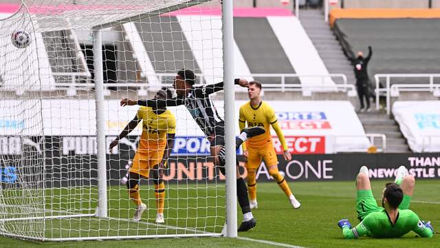 Joe Willock zorgt in de slotfase voor de gelijkmaker van Newcastle United tegen Tottenham Hotspur.