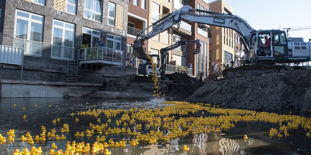 Duizenden badeendjes drijven op eerste gracht in Amsterdamse Houthaven