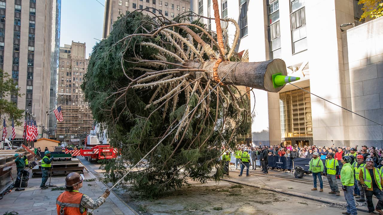 Timelapse toont optuiging van beroemde kerstboom in New York NU.nl