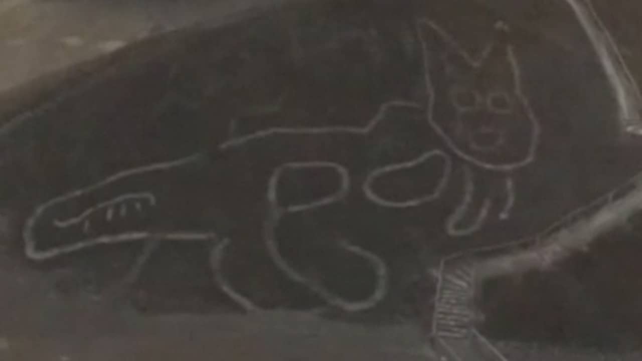 Archaeologists find huge cat drawing on mountain in Peru - Teller Report
