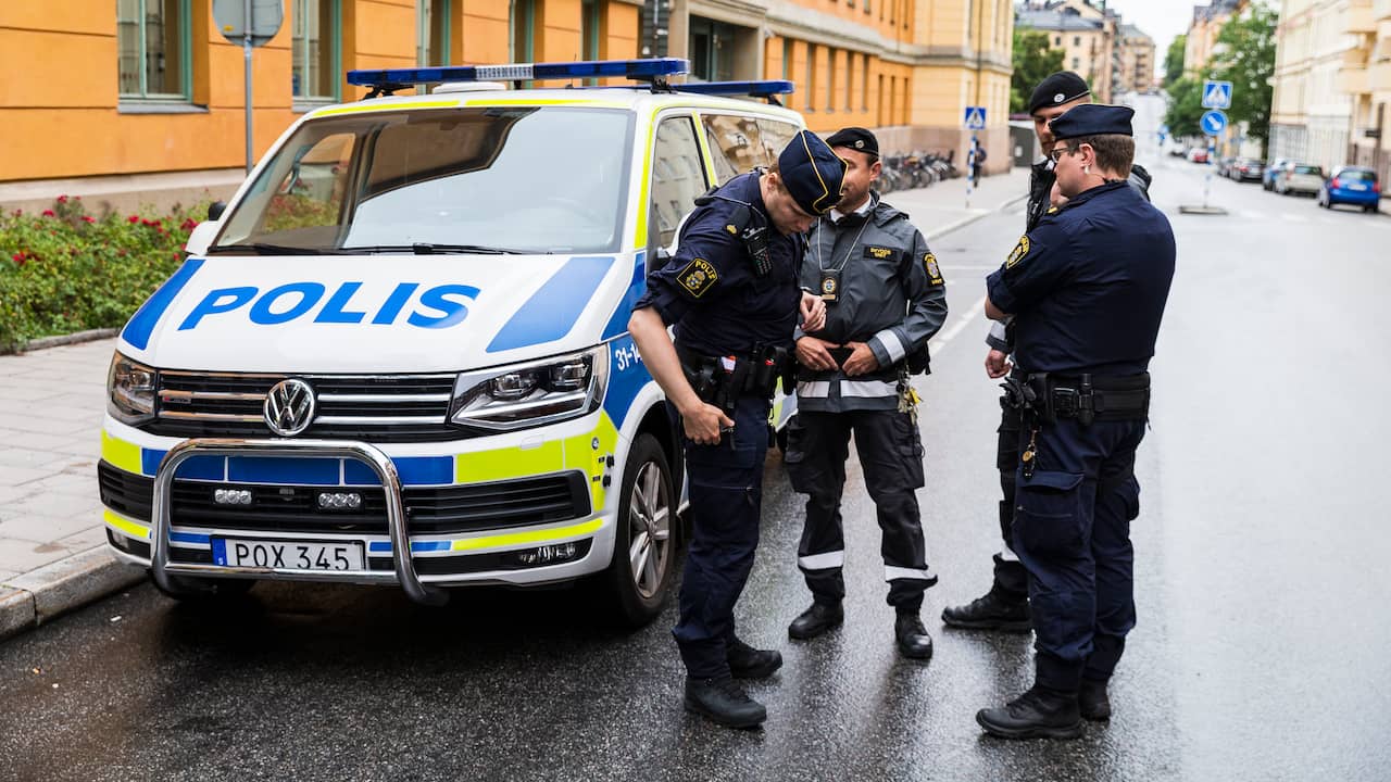 Ten-year-old Dutch girl stabbed in a park in the Swedish city of Gothenburg |  Abroad