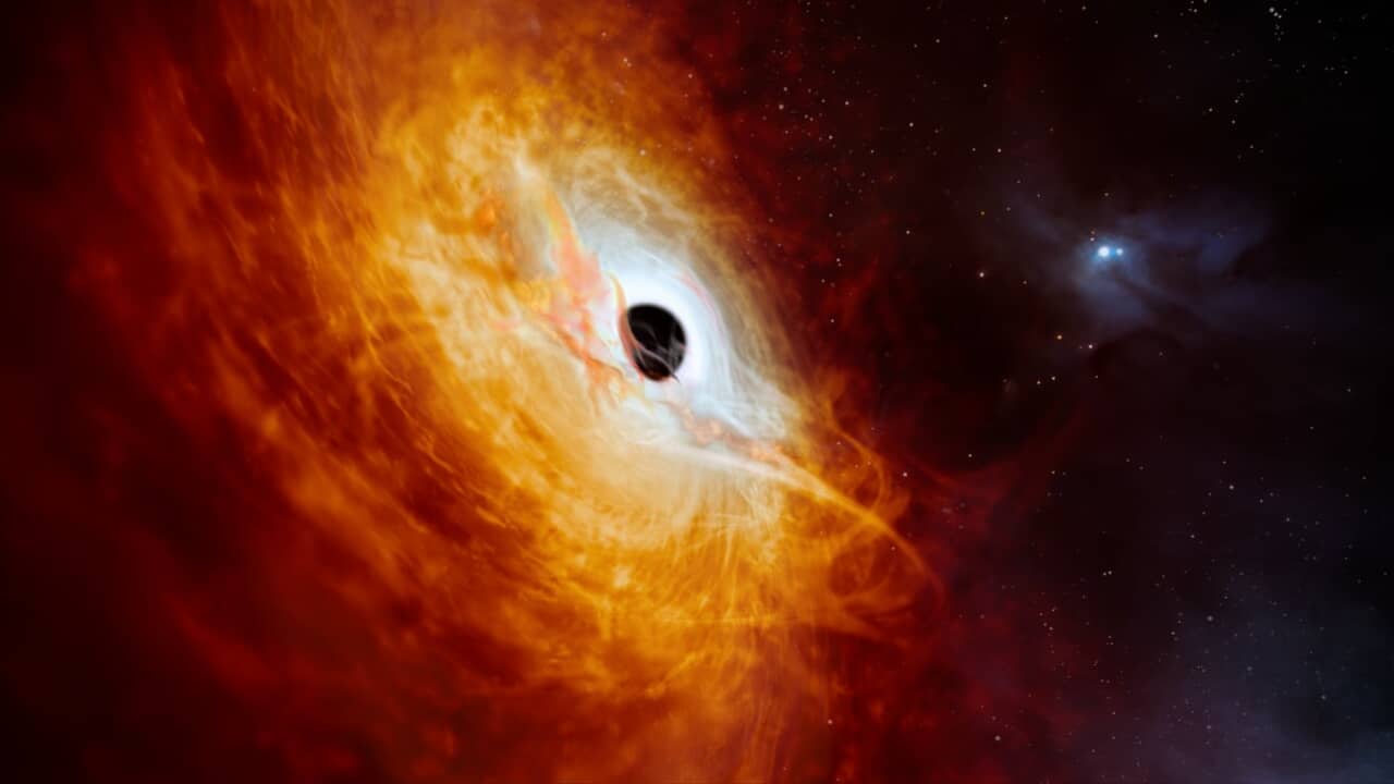 Astronomers see the brightest object in the universe and the fastest-growing black hole ever |  Sciences