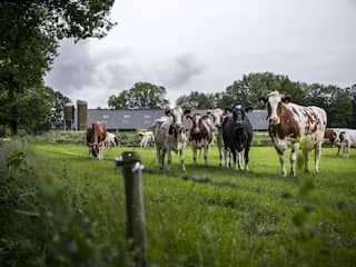 Flevoland wilde met Schiphol in gesprek over uitkopen boeren, maar dat mag niet