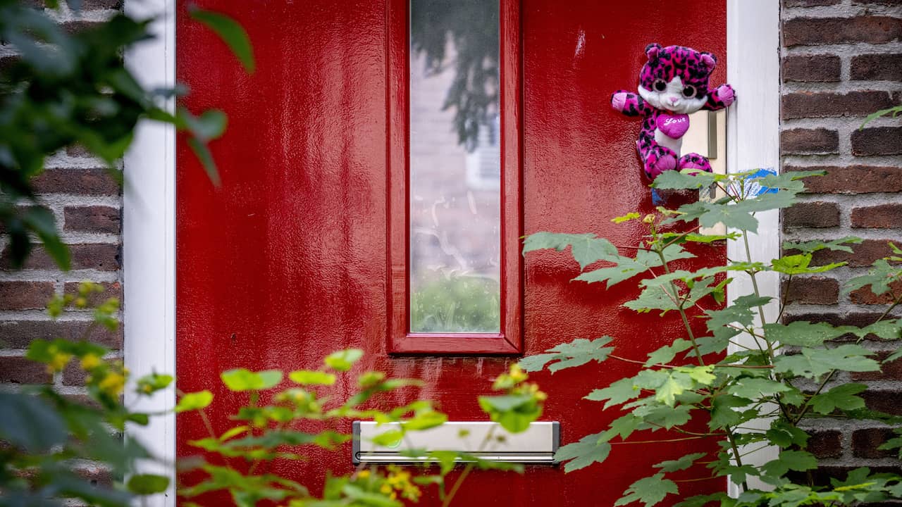 Ondanks Beveiliging Zijn Bij Pleegouders Van Mishandeld Meisje Ruiten ...