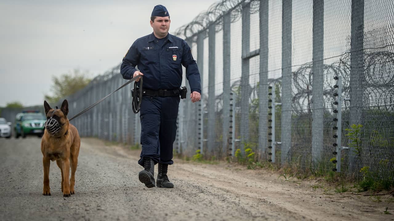La Finlandia considera la recinzione di confine: come l’Europa sta diventando più recintata |  ADESSO