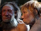 Gevonden bot behoort toe aan kind van Neanderthaler en Denisovamens