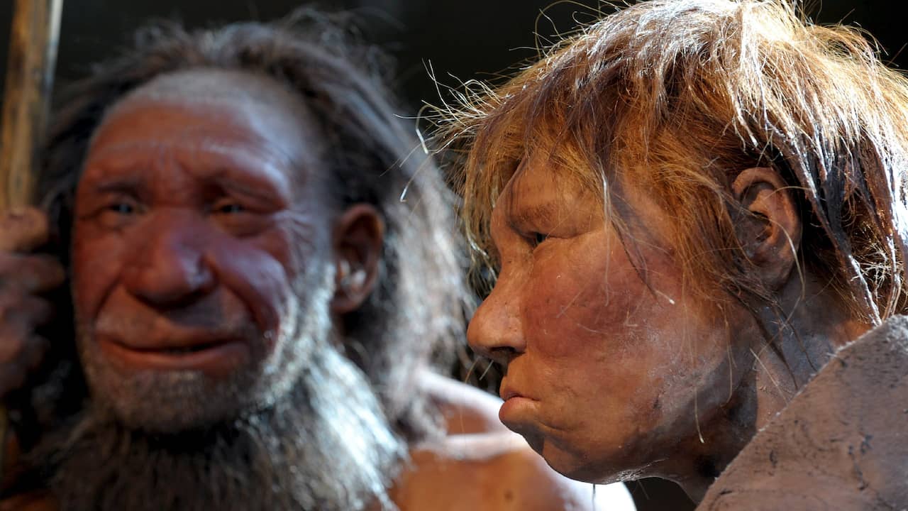 Des restes de nourriture dans des grottes irakiennes montrent que les Néandertaliens étaient des gourmets |  La science