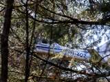 Twee inzittenden van neergestort vliegtuigje bevrijd uit boom in Hilversum