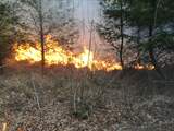 Experts: Nederland is totaal niet voorbereid op toename grote bosbranden