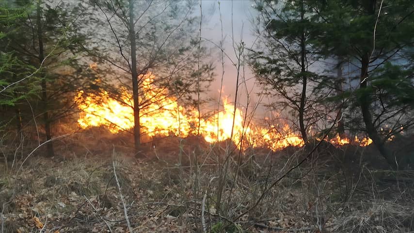 Opnieuw natuurbrand in Drenthe, nu nabij Hoogeveen