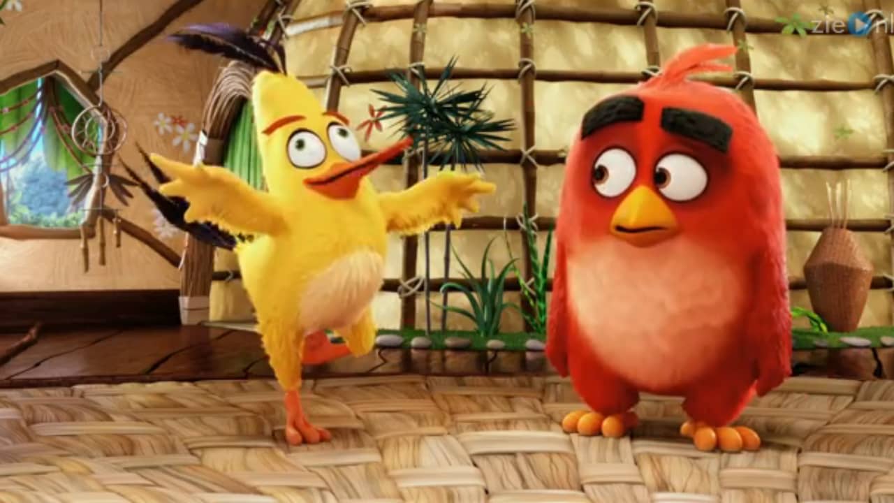 Beeld uit video: The Angry Birds Movie