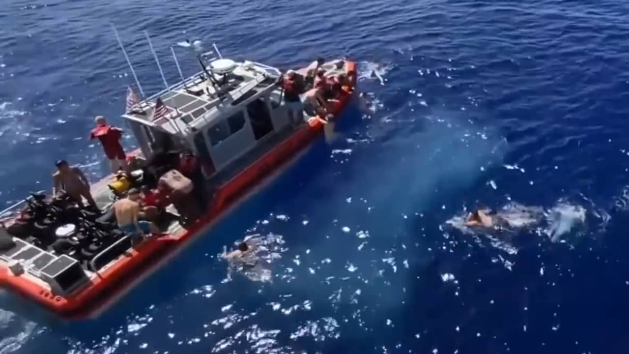 Beeld uit video: Haai nadert leden Amerikaanse kustwacht: bemanning schiet