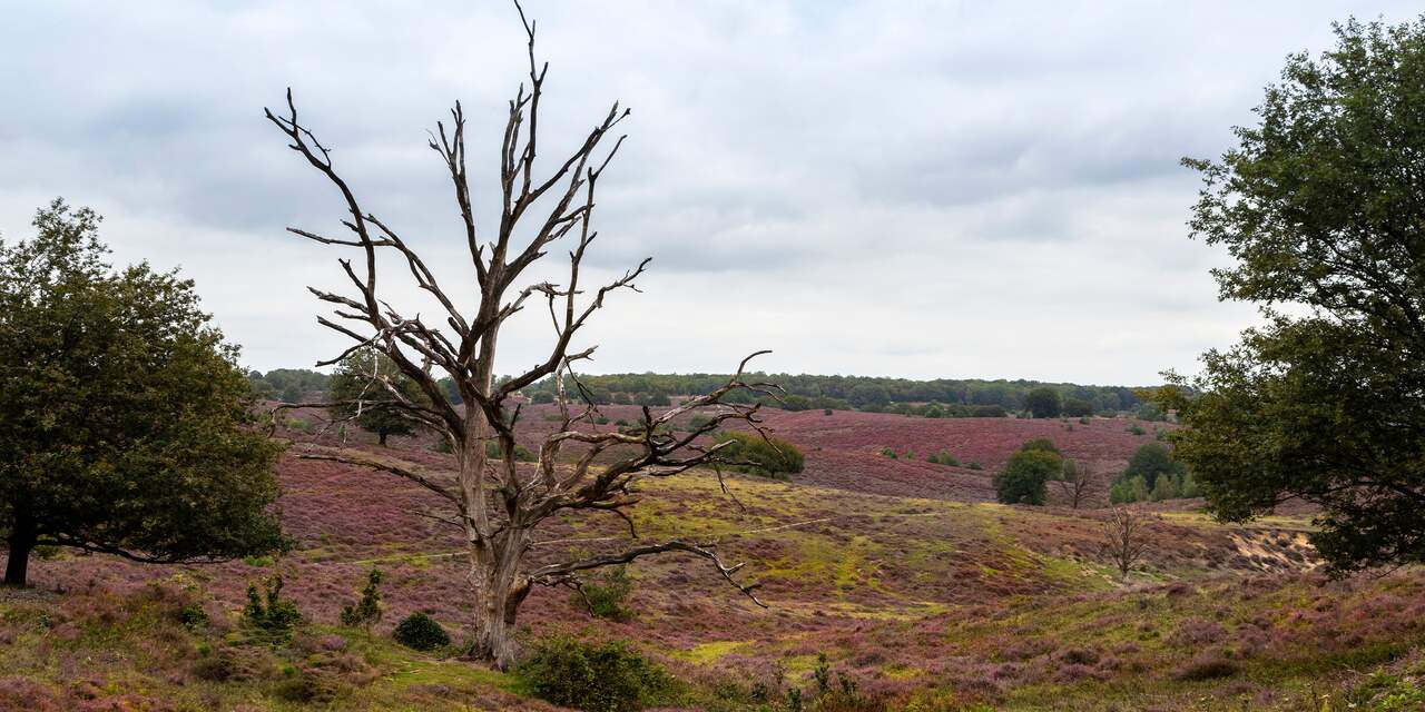 Natuur Blijkt Kwetsbaarder Dan Gedacht: Mogelijk Strengere ...