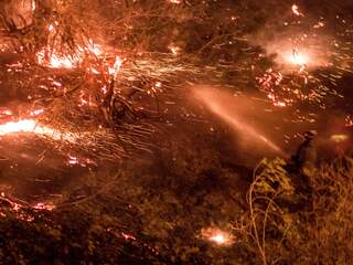 Nieuwe natuurbrand laait op in Californië
