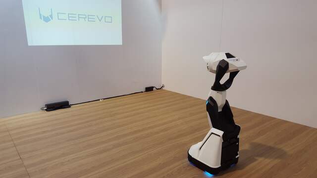 Projectorrobot Tipron